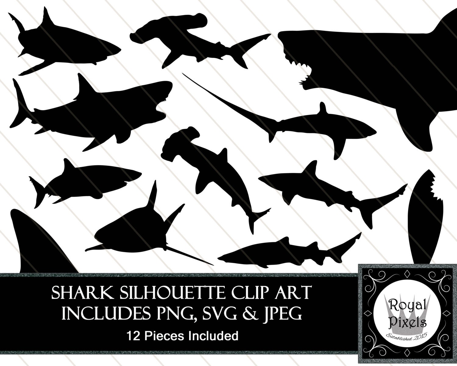 Free Free Nurse Shark Svg 353 SVG PNG EPS DXF File