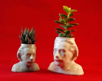 Einstein Ceramic Planter