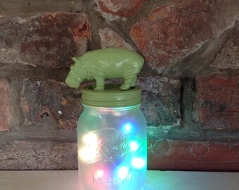 Hippo Mason Jar night light, baby room