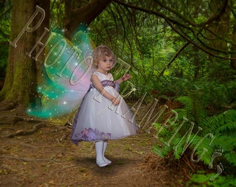16 Sets of Fairy Wing Overlays
