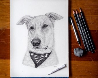 Hand Drawn Pet Portraits