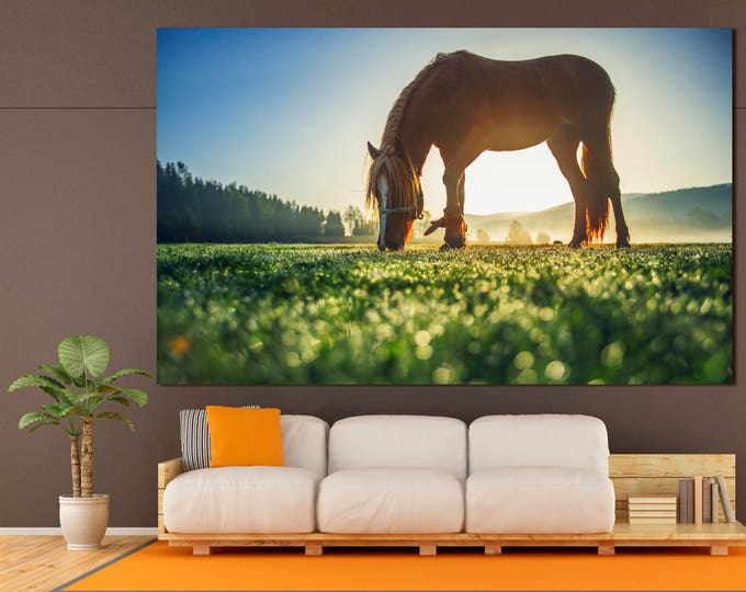 Large horse digital photo print home and office decor on canvas, horse photography large wall art canvas print set of 3 or 5 panels