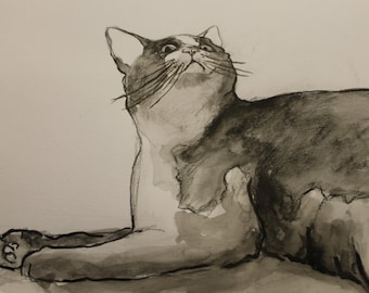 Ink cat drawing, animal art, cat in black and white, water colour art, cat drawing