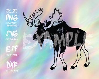Moose Silhouette,clipart,SVG,PNG 300dpi ,ESP vector