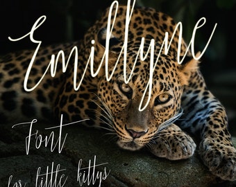 Emillyne Font - Digital Fonts - Downloadable Handwritten font – Script font - Wedding font – Font Download – Instant Download - Script Font
