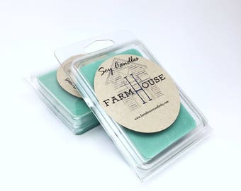 Mint Mojito Wax Melts, Soy Wax Melts, Wax Tarts, Wax Cubes, Soy Wax Tarts