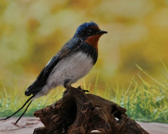 Needle Felted Bird-Barn Swallow -Lifesize . Ready to ship.