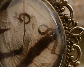 Butterfly shadow box | Etsy