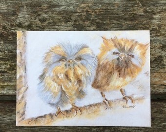 Owl babies Greetings Card - owl card, owl art, owl babies, greetings card, animal cards, bird cards, bird art, fine art card, pastel card