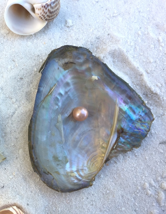 Pick A Pearl Oyster Kit Freshwater Pearl Wish Pearl by AOSDESIGN