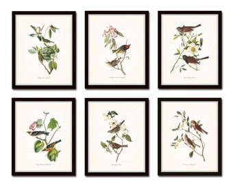 Audubon Bird Prints Set No. 1, Vintage Bird Prints, Giclee, Audubon Prints, Art Print, Wall Art, Bird Print, Natural History Art