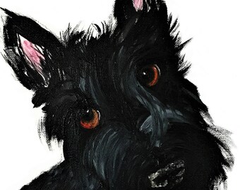 Scottie Dog Art Print Scottish Terrier #426