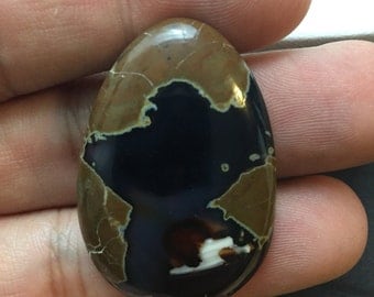 Thunder Egg Cabochon