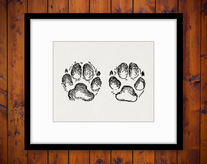 Paw Prints Digital Image Printable Dog Paw Graphic Illustration Download Jpg Png Eps HQ 300dpi No.984