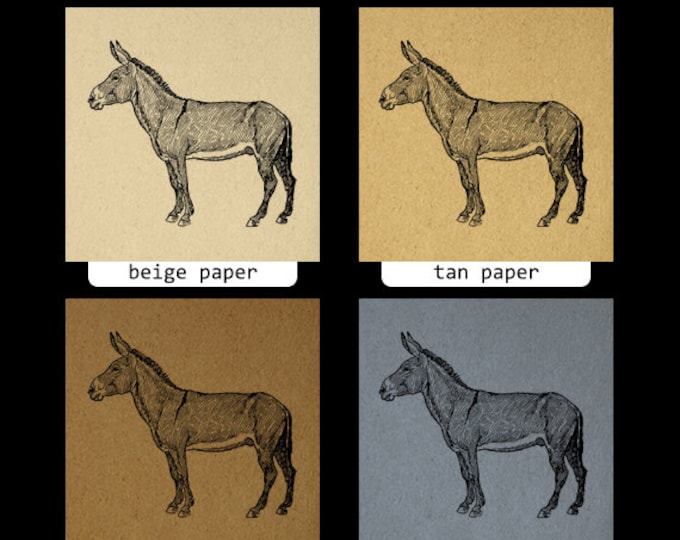 Donkey Graphic Digital Printable Horse Image Download Illustration Vintage Clip Art Jpg Png Eps HQ 300dpi No.3090