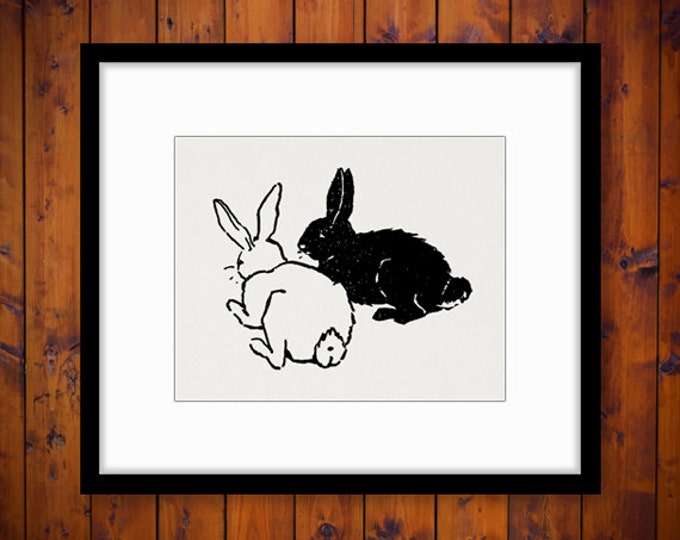 Two Rabbits Image Digital Graphic Bunny Illustration Download Printable Vintage Clip Art Jpg Png Eps HQ 300dpi No.2429