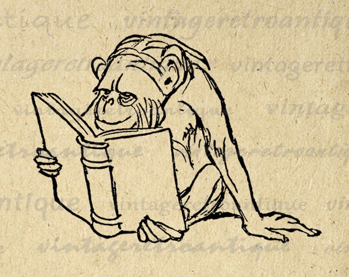 Chimpanzee Monkey with Book Reading Digital Image Download Printable Graphic Vintage Clip Art Jpg Png Eps HQ No.1736