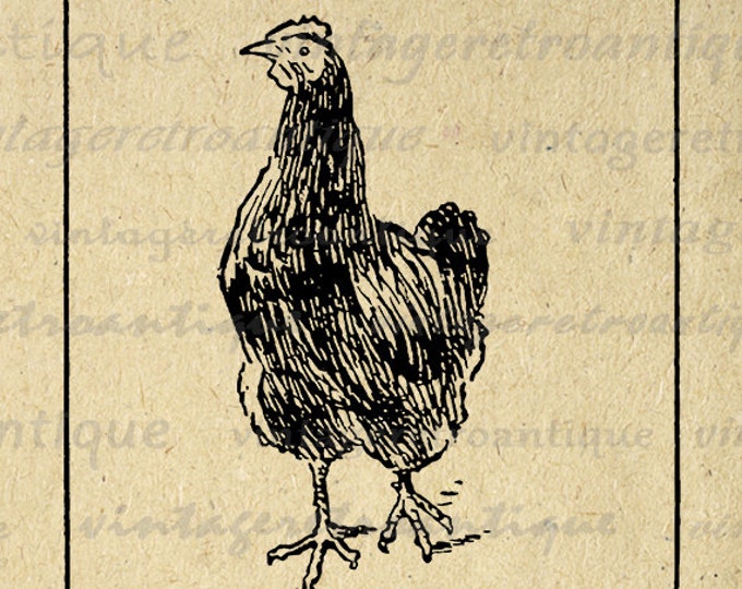 Digital Rooster Image Download Chicken Printable Illustration Graphic Antique Clip Art Jpg Png Eps HQ 300dpi No.3815