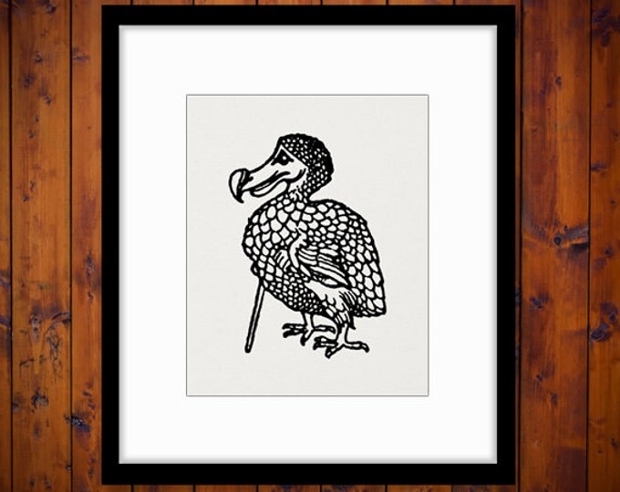 Printable Digital Dodo Bird Alice in Wonderland Graphic Image Download Antique Clip Art Jpg Png Eps HQ 300dpi No.2531