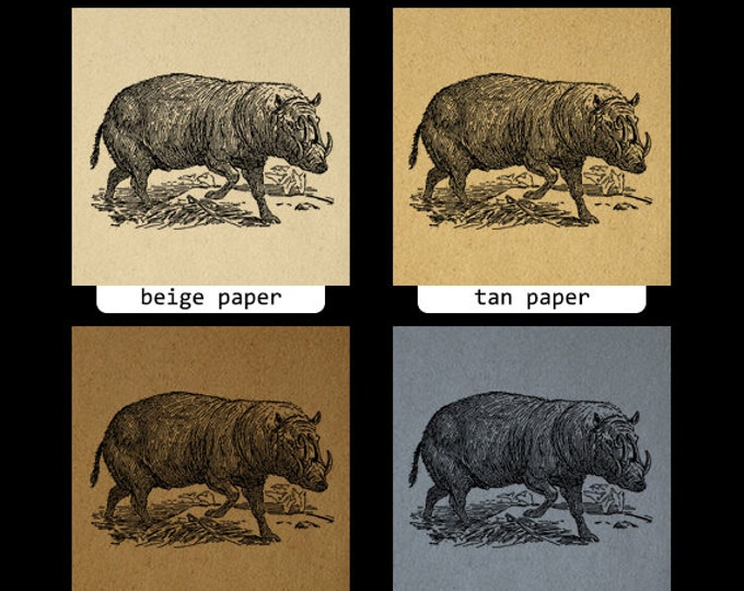 Printable Graphic Babirussa Download Wild Animal Digital Image Vintage Clip Art Jpg Png Eps HQ 300dpi No.3245