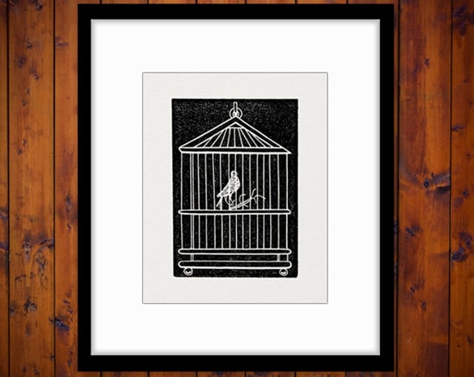 Birdcage with Bird Graphic Printable Digital Image Download Illustration Jpg Png Eps HQ 300dpi No.2745