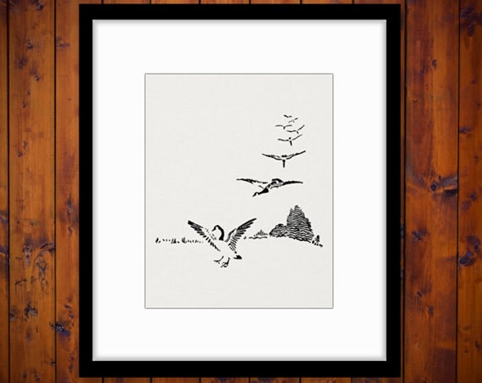 Printable Image Flying Geese Graphic Bird Digital Illustration Download Jpg Png Eps HQ 300dpi No.951