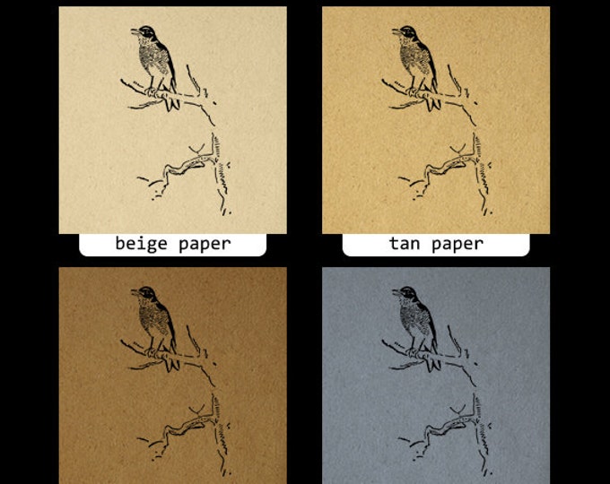 Bird on Tree Branch Graphic Digital Download Printable Image Vintage Clip Art Jpg Png Eps HQ 300dpi No.849