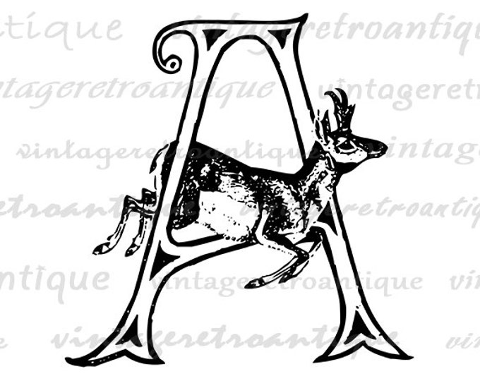 Printable Letter A with Antelope Image Download Antelope Graphic Digital Vintage Clip Art for Transfers Printing etc HQ 300dpi No.4697