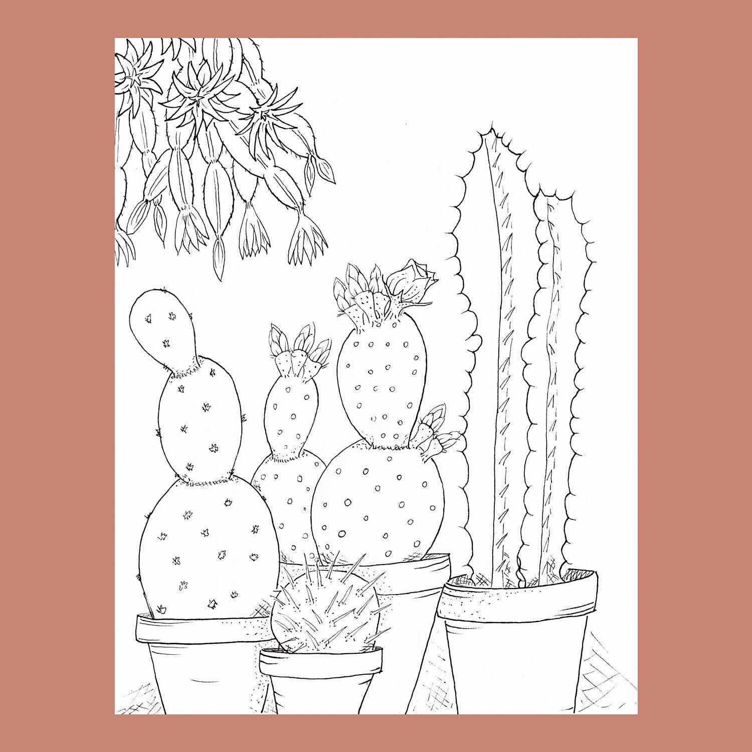 Printable Cactus Coloring Page Adult Coloring Page Cacti
