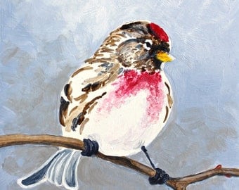 Red Poll Bird Songbird Original Bird Painting Acrylic on Board 4"x4"