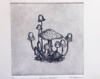 Amanita Muscaria (Varied Edition)