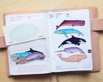Transparent whale stickers - suitable for planning and journaling