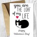 Funny 40th Birthday Cards Funny Cat Printable 40 Birthday