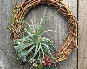 Living Wreath