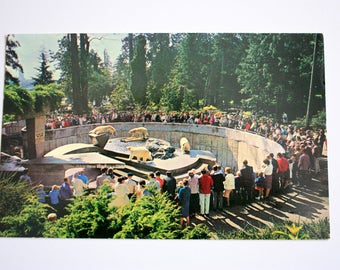 Polar Bears Stanley Park Zoo Postcard / Vancouver British Columbia Postcard / polar bears postcard