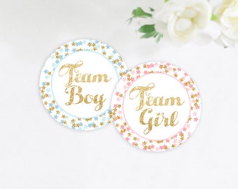 Twinkle Twinkle Little Star Gender Reveal Stickers, Team Girl and Team Boy Stickers, Gender Reveal Party