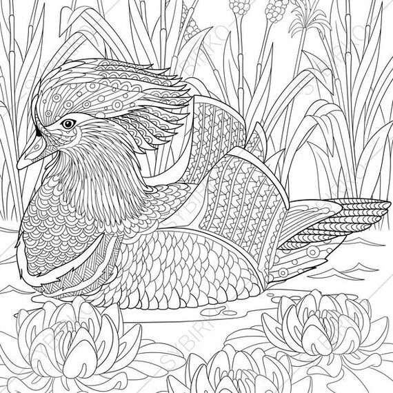 Adult Coloring Pages. Mandarin Duck. Zentangle Doodle Coloring