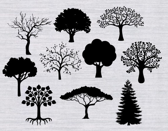 Free Free 169 Free Svg Of Family Tree SVG PNG EPS DXF File