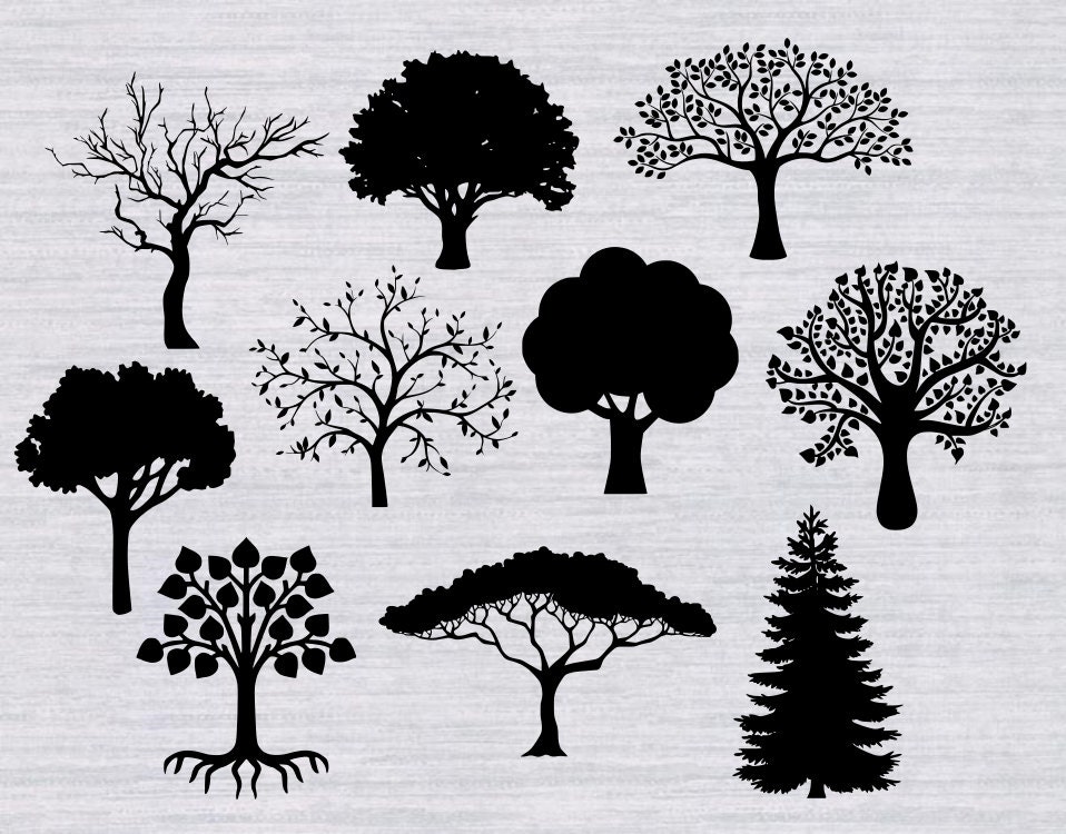 Free Free 337 Free Family Tree Svg For Cricut SVG PNG EPS DXF File