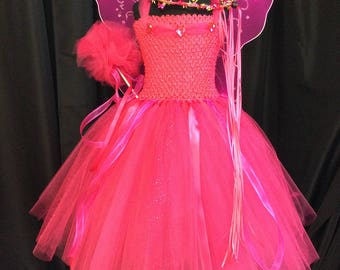 Fall Fairy Tutu Dress W/matching Crown Wand Wings Birthday