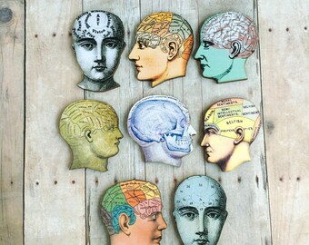 Medical Phrenology Head Brooch Oddity Jewelry Doctors Physicians