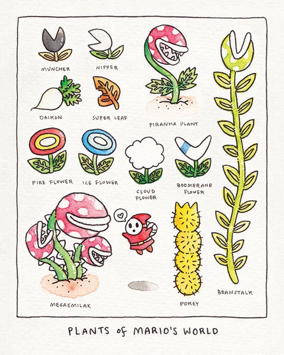 PLANTS OF MARIO print