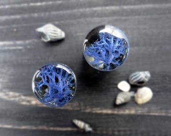Blue moss ear plugs gift/for/men boyfriend gift wife gifts pressed flower plugs body jewelry resin jewelry 2g tunnels size 0 gauges 00 gauge