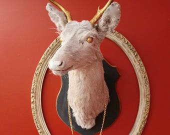 Deer Head Wall Mount, Taxidermy, Real Deer, Bar Decor, Pub Wall Decor, Restaurant Decor, Cabin Chic, Man Cave, Curiosity, Conversation Piece
