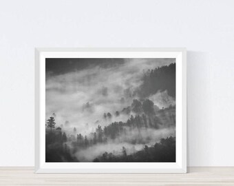 Foggy Forest Tree Print 8 X 10 Foggy Forest