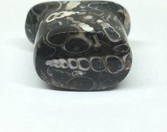 16mm Plug Stone Labret Fossil Snails Oval Labret Turritella Jasper Handmade Jewelry Gauges