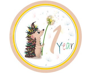 Month Stickers Baby Month Stickers Milestone Stickers Baby Week Stickers Free Gift Baby Shower Monthly Baby Decals Month To Month Stickers