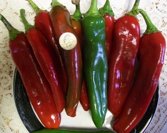 Hot Pepper- Relleno- 85 day- 1000 SHU- mildly hot- 25 seeds per pack