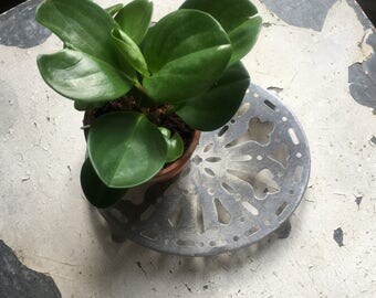 Vintage dish below.