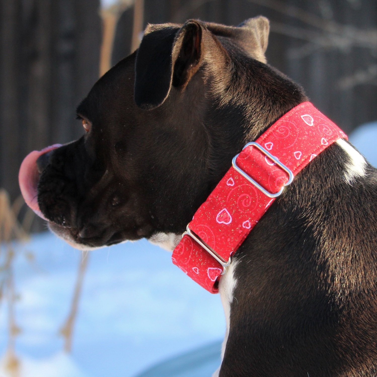 Valentine Martingale dog collar wide dog collar thick dog